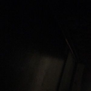 Meet your Posher, Bertin